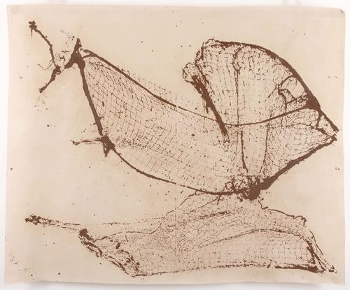 Gandolfo Gabriele David, Reti di Terra #6_Ust, 2017 I Ph. A. Di Giugno