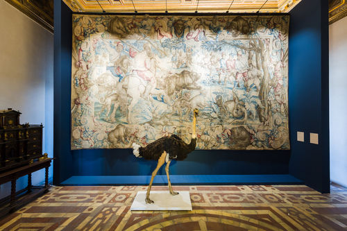 Giovanni Stradano a Firenze 1523-2023. Le più strane e belle invenzioni del mondo, Museo di Palazzo Vecchio, Firenze. Courtesy MUS.E I Ph. Nicola Neri
