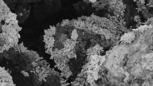 Deborah-Joyce Holman, film still Spill I-III. Courtesy of the artist