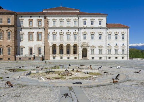 Velasco Vitali, Branco, Reggia di Venaria Reale