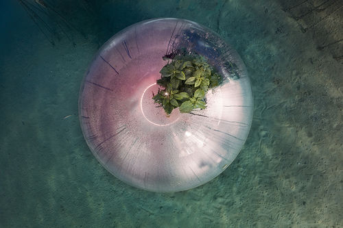 Luca Locatelli, <span>Biosphere Underwater, Farming #3, Italia, 2021</span>