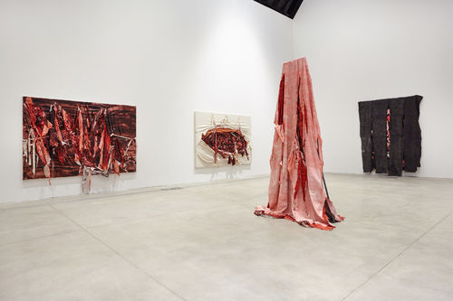 Anish Kapoor, MACRO - Museo di Arte Contemporanea di Roma