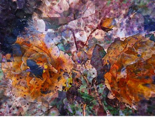 I giardini della mente. Opere fotografiche di Martino Pisanello, Roma