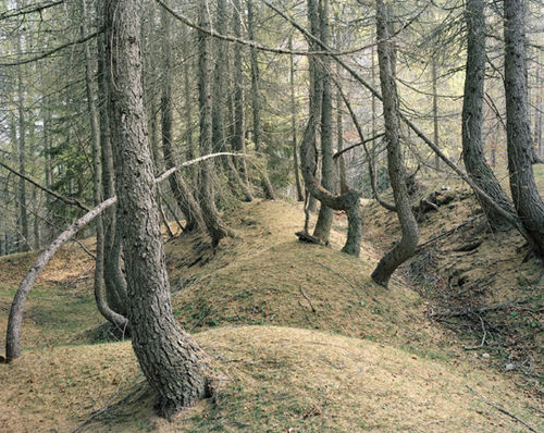 Paola De Pietri, Sella di Somdogna