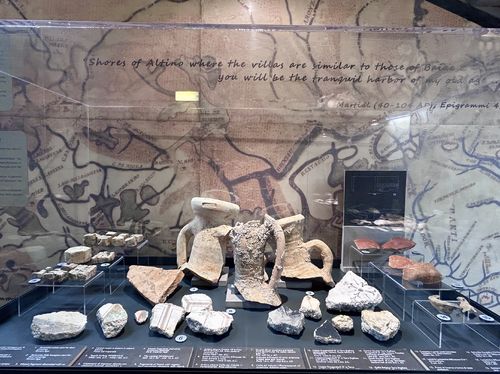 UN OSTRIARIUM ROMANO NELLA LAGUNA DI VENEZIA, MUSEO DI STORIA NATURALE, VENEZIA