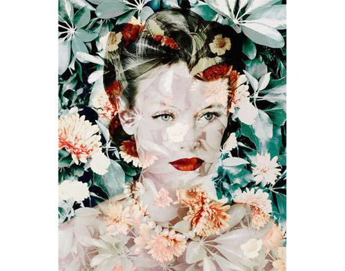 Valerie Belin, Calendula (Marigold) 
