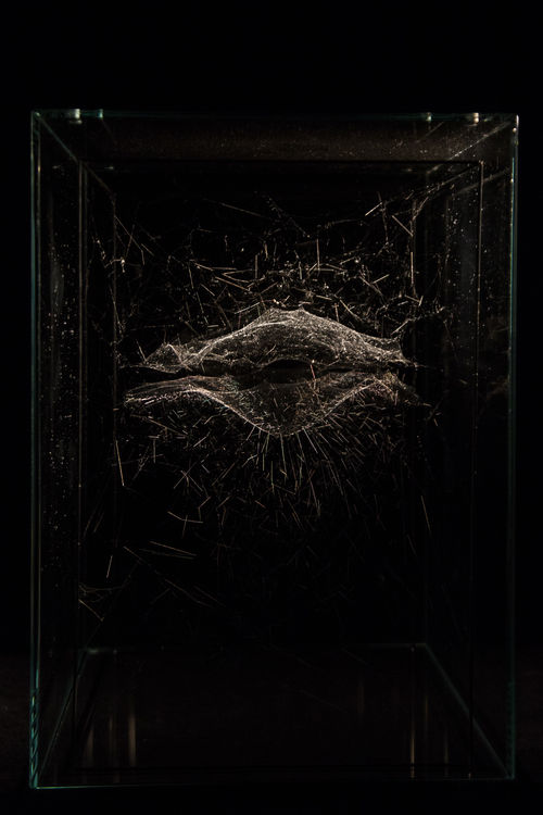 Cosmic Jive: Tomás Saraceno. The Spider Sessions