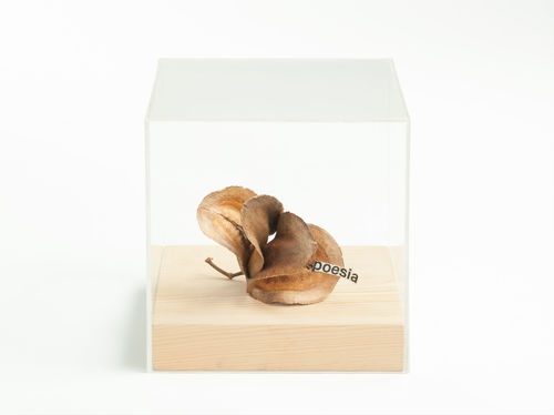 Elisabetta Gut, Poesia, 1983. Assemblage.Collezione Museion Archivio di Nuova Scrittura, Donazione Paolo Della Grazia I Ph. Augustin Ochsenreiter