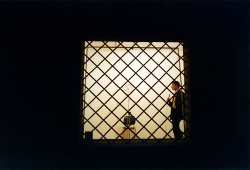 Cesare Pietroiusti, Pensiero unico, 2003