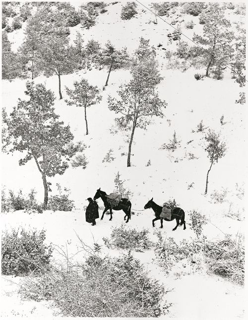 Fulvio Roiter, <em>Norcia, Umbria, Terra di San Francesco</em>, Dettaglio, 1955 | &copy; Fondazione Fulvio Roiter<br />