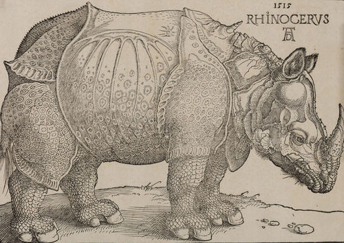 Albrecht D&uuml;rer, <em>Rinoceronte</em>, Xilografia, 300 x 215 mm<span id="caption" style="display: inline;"><span id="titleText"> | Courtesy &copy; Musei Civici di Bassano</span></span><br />