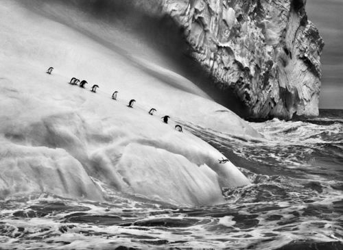 <span style="font-family: 'Times New Roman', serif;">Sebasti&atilde;o Salgado, <em>Isole South Sandwich</em>, 2009&nbsp;</span><br />