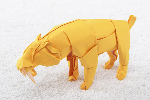 Origami. Spirito di Carta, Palazzo Barolo, Torino