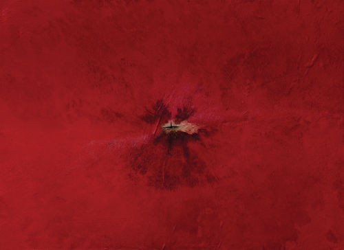 Giuseppe Patanè, Verbum, 2014, cm. 117x160, tecnica mista su pelle