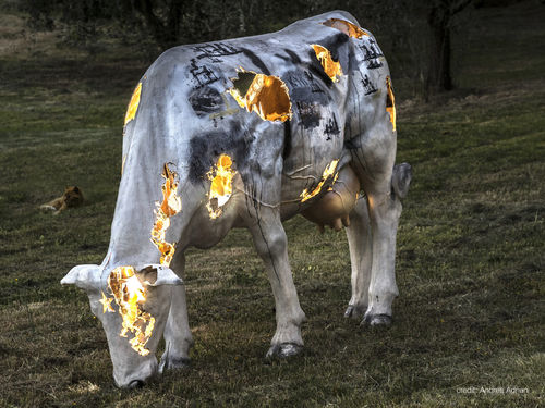 Mario Consiglio, <em>Osservatorio ideale (mucca),</em>&nbsp;2013. Resina, neon, cartone, muschio e acrilico,&nbsp;136x208x62 cm. I Ph. Andrea Adrian