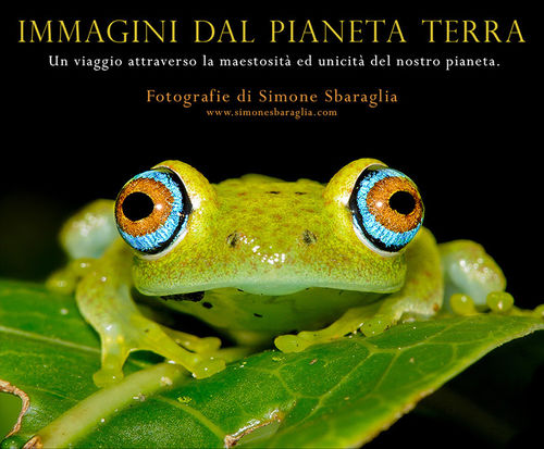 Simone Sbaraglia. Immagini dal Pianeta Terra