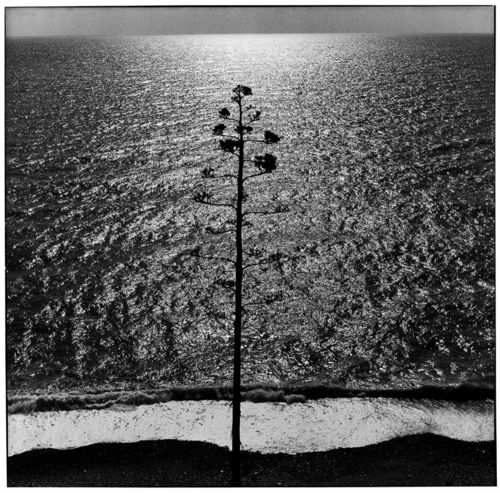 Ugo Mulas, <em>Monterosso</em>, 1962&nbsp;&copy; Eredi Ugo Mulas.&nbsp;Tutti i&nbsp;diritti riservati. Courtesy Archivio Ugo Mulas, Milano &ndash; Galleria Lia Rumma,&nbsp;Milano/Napoli
