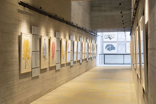 Alberi! 30 frammenti di storia d&rsquo;Italia, M9 - Museo del &rsquo;900, Venezia Mestre