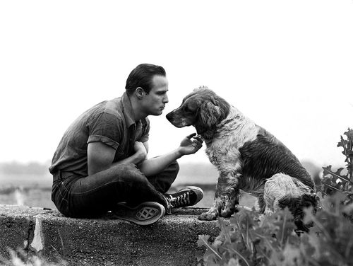 Art Shay, Brando and the Family Dog, 1950. Silver Gelatin Print, 16 x 20 inches 