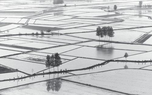 Gianni Berengo Gardin. Il racconto del riso, Forma Galleria, Milano
