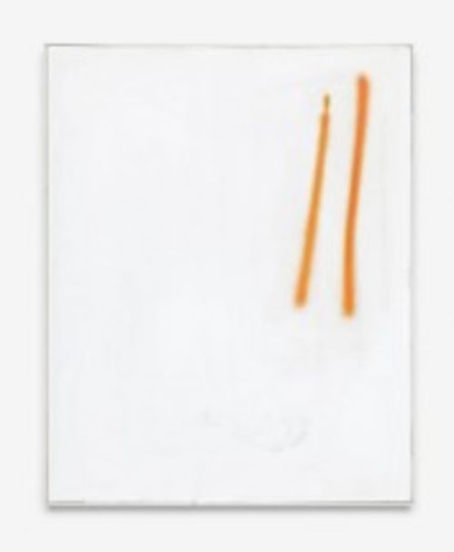 David Ostrowski. Just Do It, Fondazione Sandretto Re Rebaudengo, Torino