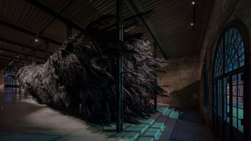 Muhannad Shono, The Teaching Tree, Arsenale - Sale d’Armi, Venezia
