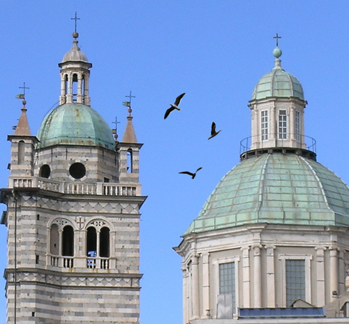 #RaccontoGenova