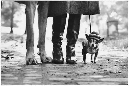 Elliott Erwitt, <em>USA, New York</em>, 1974 | &copy; Elliott Erwitt