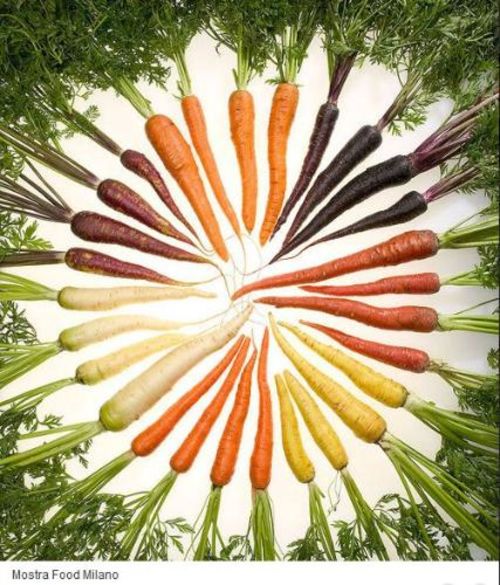 Food. La scienza dai semi al piatto, Museo di Storia Naturale, Milano