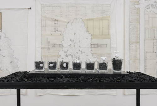 Silvia Scaringella, Deus sive natura I Ph. Giorgio Benni