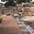 Foro della Pace