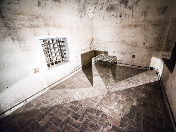 Giancarlo Marcali, A-24020:CRONACA DELLA RASATURA, Installazione , Torre Grimaldina di Palazzo Ducale, Genova 2016 | © MAG Arte Contemporanea, Como