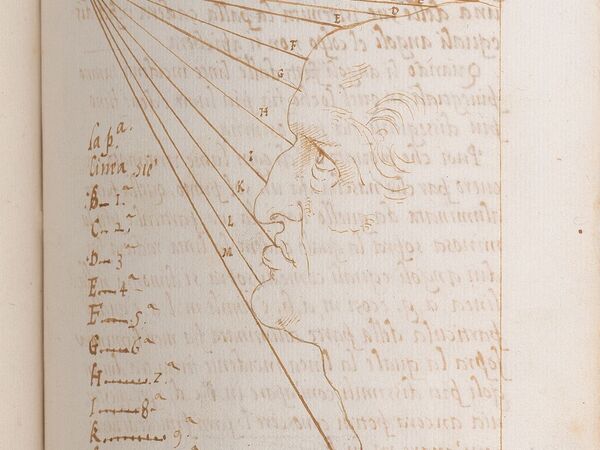 Trattato della pittura di Leonardo da Vinci [1540]. Codice cartaceo manoscritto di 331 carte numerate sul recto, rilegato in pergamena, mm. 204x148<br />