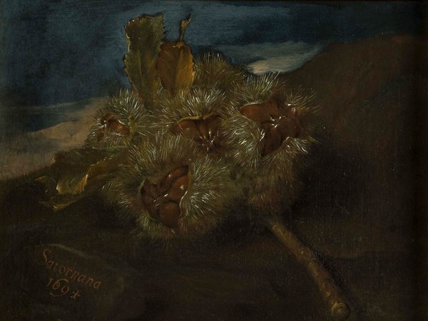 Bartolomeo Bimbi, Ricci con castagne di Saturnana, 1694, Olio sul tela | Courtesy Museo di Storia Naturale dell’Università degli studi di Firenze, Museo della natura morta nella Villa Medicea di Poggio a Caiano, 