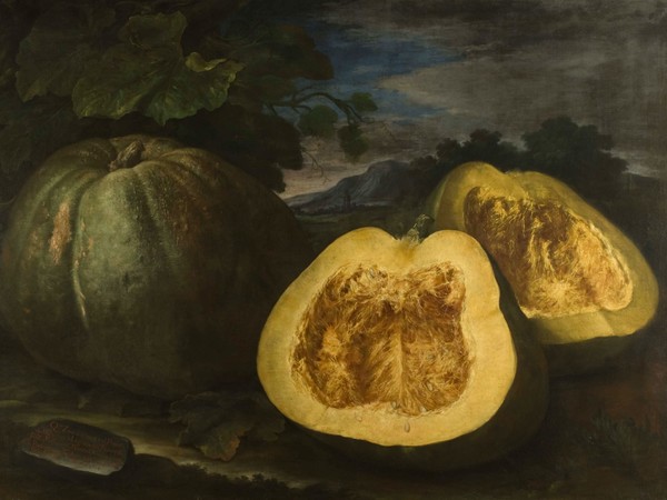 Bartolomeo Bimbi, Zucca dei monaci di Monteoliveto, 1714, Olio sul tela | Courtesy Museo di Storia Naturale dell’Università degli studi di Firenze, Museo della natura morta nella Villa Medicea di Poggio a Caiano, 