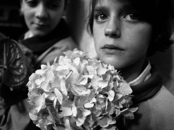 Letizia Battaglia, Ortensie, Trapani 1992 | Courtesy of Letizia Battaglia