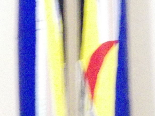 Pintapiuma, 