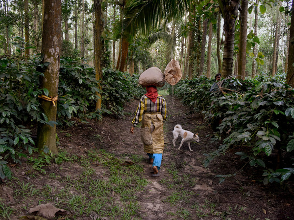 Steve McCurry, India.