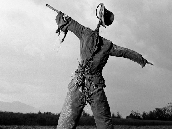 Elio Ciol, Spaventapasseri, Casarsa 1956 | © Elio Ciol