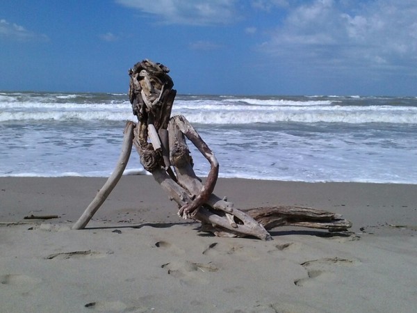Il Sedicente Moradi, LA SIRENA, assemblaggio di legno. Spiaggia della lecciona (LU) - 16 agosto 2014