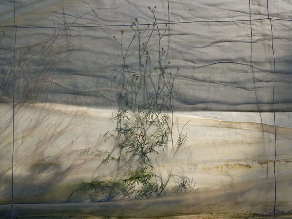 MAST Photography Grant on Industry and Work - Chloe Dewe Mathews, For a few euros more / Per qualche euro in più, Plástico / Plastica (veil / velo # 2), 2019 | © Chloe Dewe Mathews | Courtesy of Fondazione MAST, Bologna, 2020