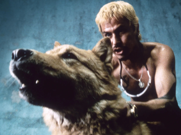 Un'immagine dal film "Amores Perros" di Alejandro G. Iñárritu, 2000 - courtesy © Nu Vision Un'immagine dal film "Amores Perros" di Alejandro G. Iñárritu, 2000 - courtesy © Nu Vision