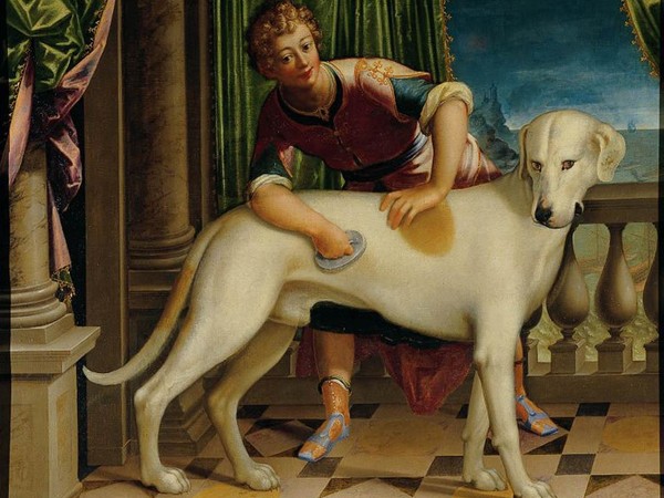 Aurelio Lomi, Ritratto del cane Roldano, Villa del Principe, Genova
