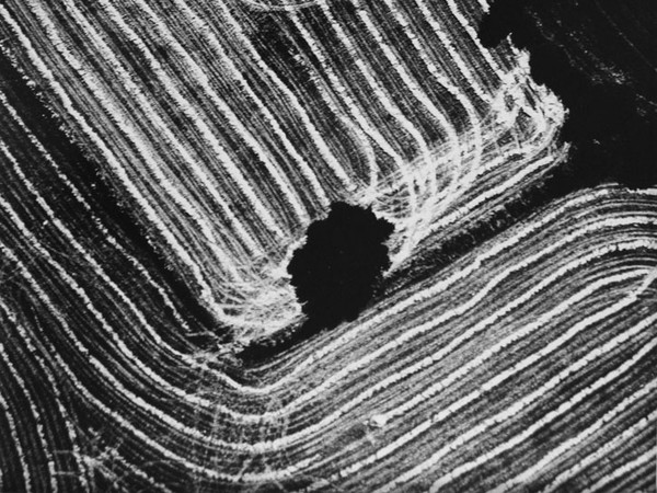 Mario Giacomelli, Presa di coscienza sulla natura, 298x392 mm | Courtesy of Studio Guastalla Arte Moderna e Contemporanea / The Lone T art space | Foto: Cristian Castelnuovo