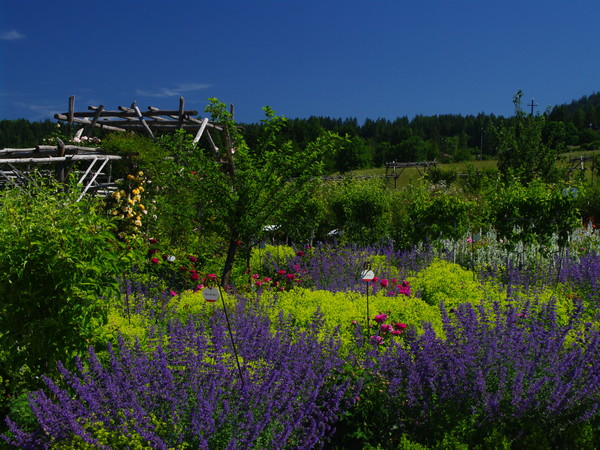 Il Giardino della Rosa di Ronzone (Ronzone - TN), Nuovo ingresso nella rete Grandi Giardini Italiani 2017| Courtesy of Archivio Grandi Giardini Italiani, www.grandigiardini.it