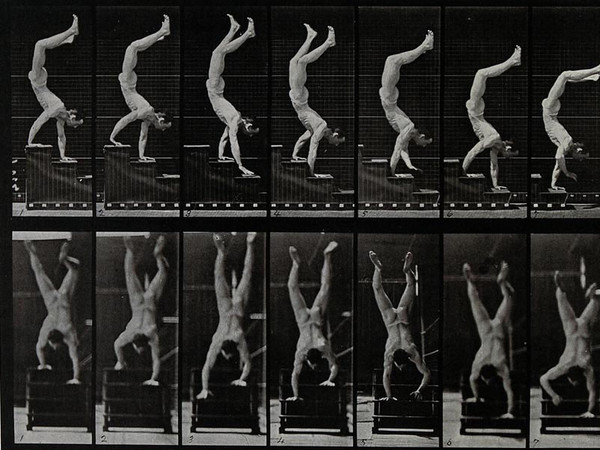 Eadweard Muybridge, A man walking on his hands, 1887, 38.5 x 20 cm, Wellcome Library, Educational Project | © Wellcome Images