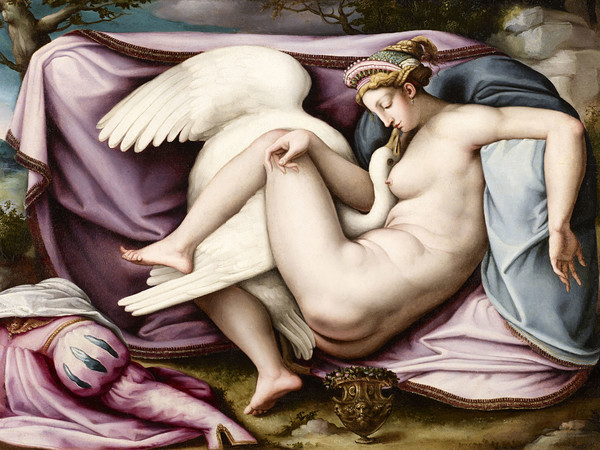 Francesco Ubertini detto Bachiacca (1494 - 1597), Leda e il cigno, Olio su tavola, 78 x 57 cm, Bergamo, Accademia Carrara