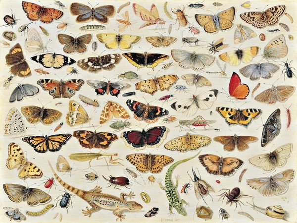 BRUEGHEL. MERAVIGLIE DELL’ARTE FIAMMINGA