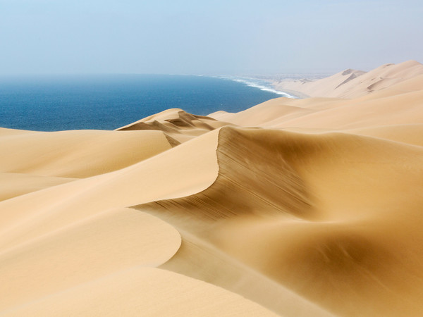 Orlando Fernandez Miranda, Windsweep, Wildlife Photographer of the Year, Spain Winner 2018, Earth’s Environments