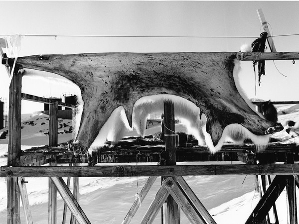 Paolo Solari Bozzi, Scoresbysund Greenland | Courtesy of Casa dei Tre Oci © Paolo Solari Bozzi